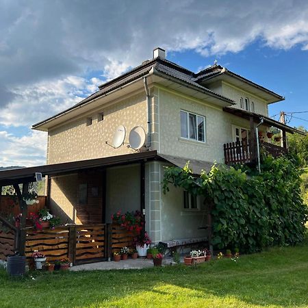 Casa Danut Villa Vidra  Luaran gambar